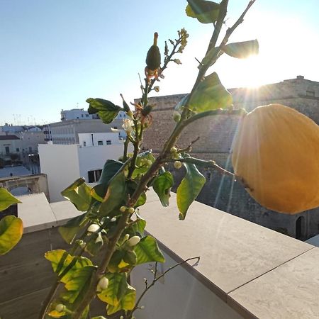 Locanda Degli Angioini Locazione Turistica Hotel Mola di Bari Bagian luar foto
