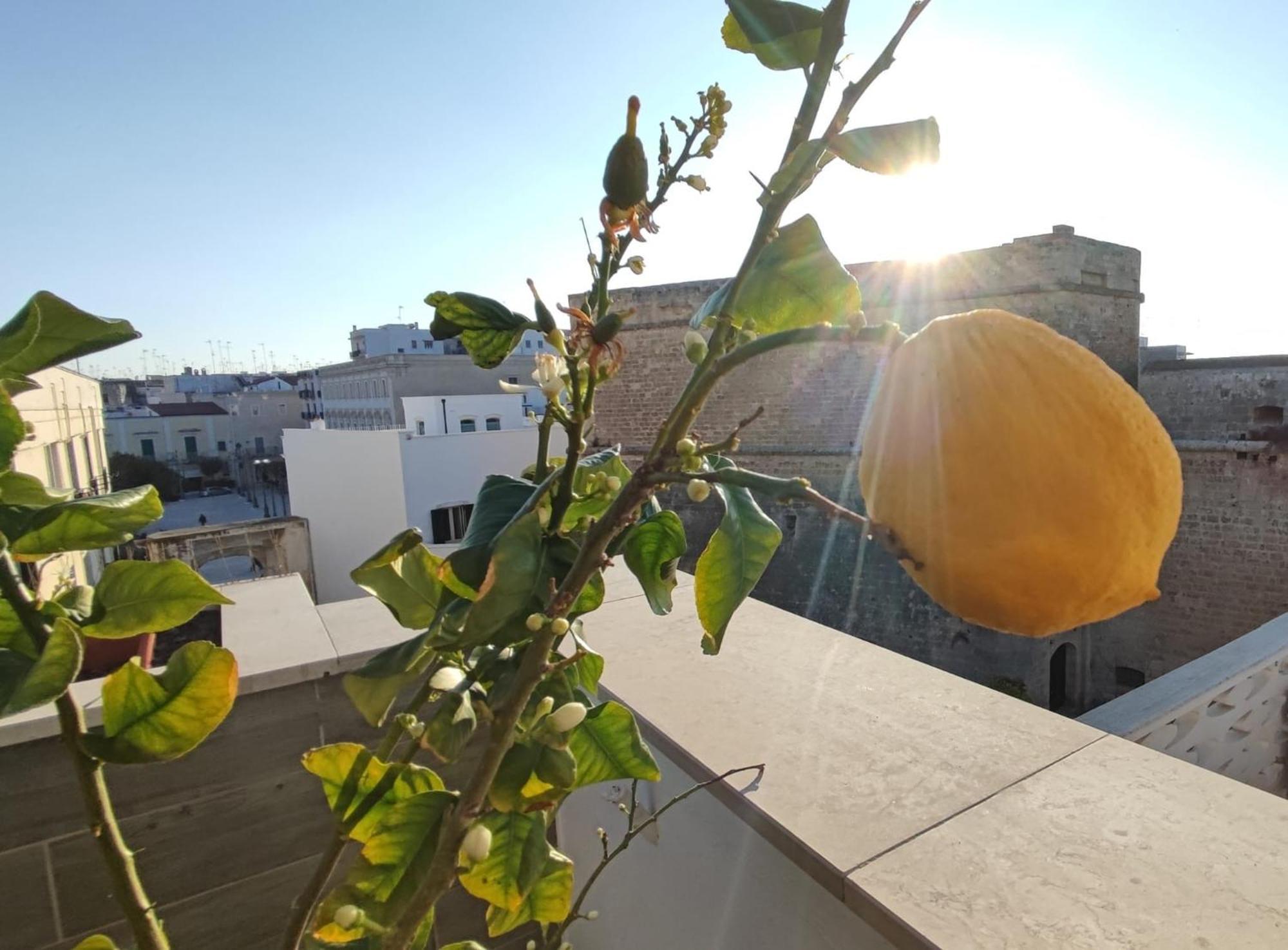 Locanda Degli Angioini Locazione Turistica Hotel Mola di Bari Bagian luar foto